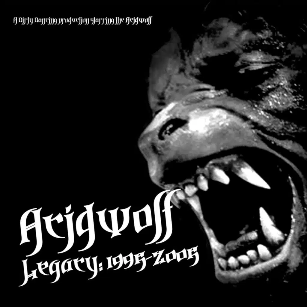 Binedump (Acidwolf Remix)