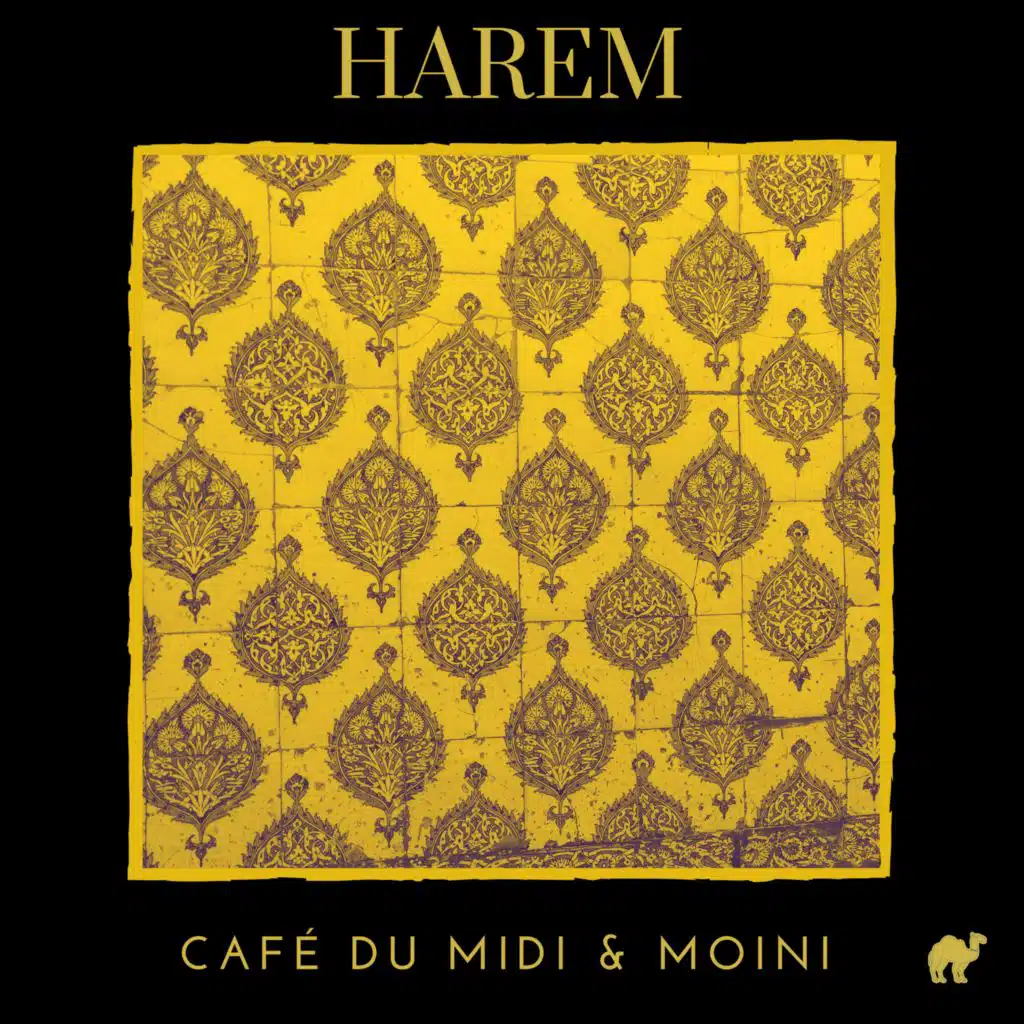 Café Du Midi & Moini