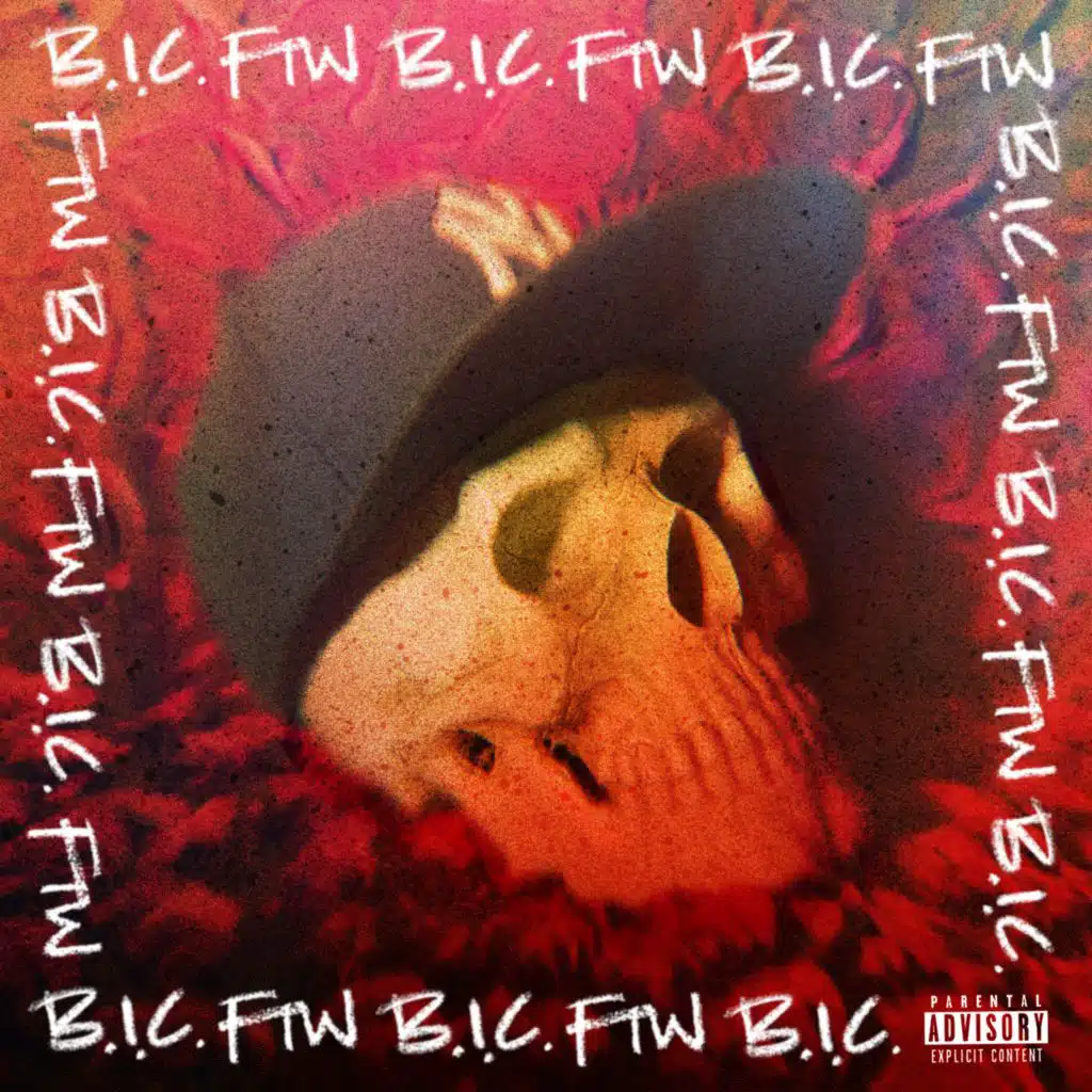 B.I.C. (Bitches is Crazy)