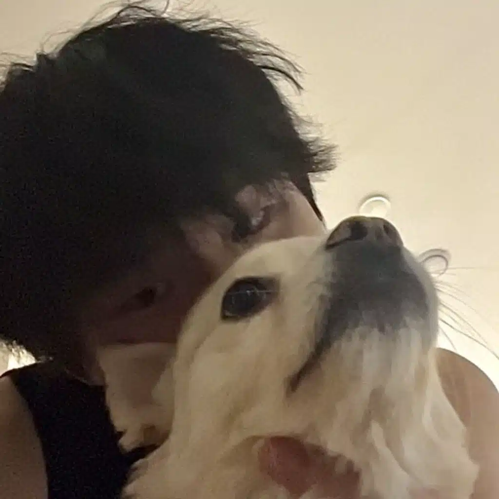 Pluggboi