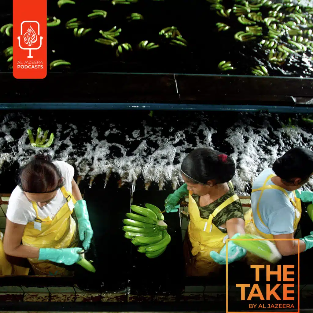 Could a US-banned pesticide be behind mass sterilization?