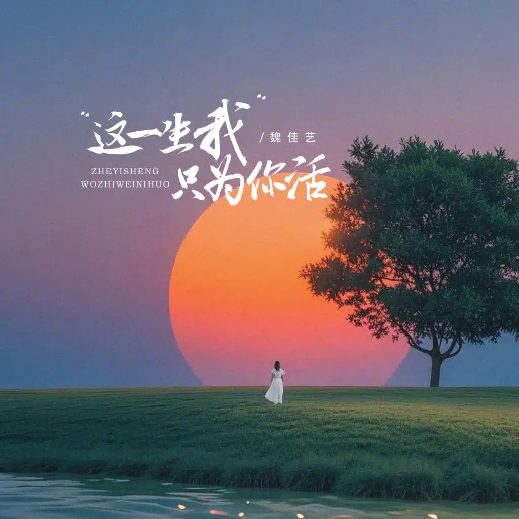 这一生我只为你活 (DJ京仔版)