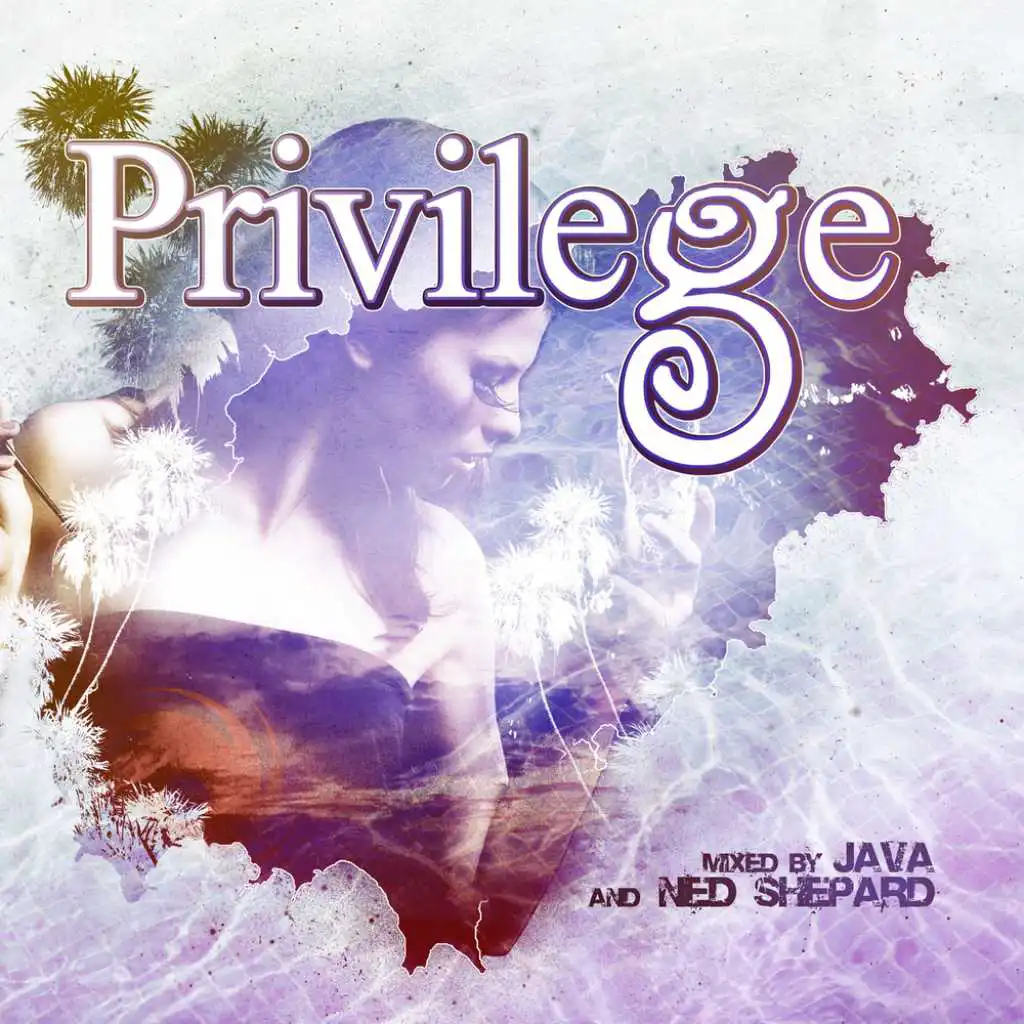 Privilege 2010