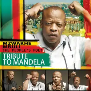 Tribute To Mandela