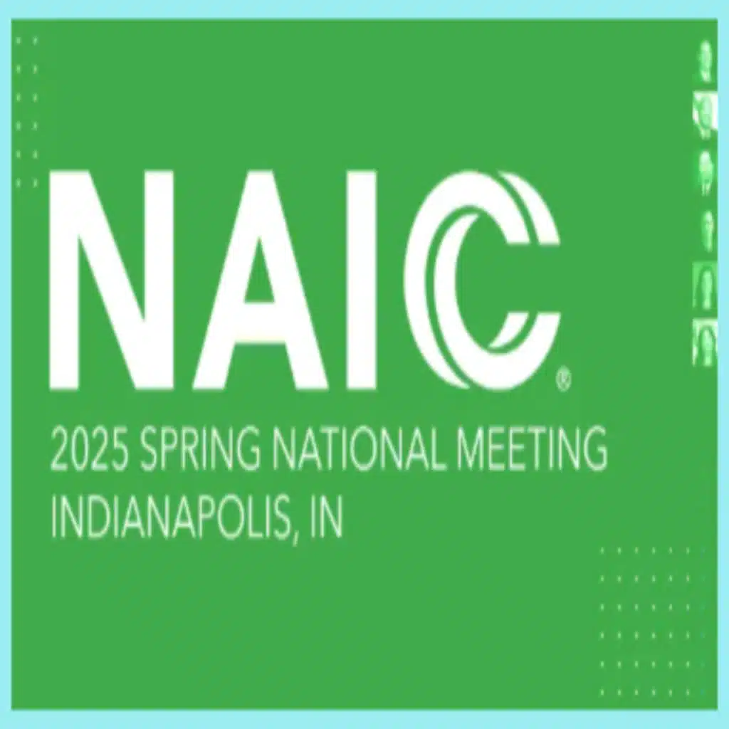 NAIC 2025 Spring Meeting Recap