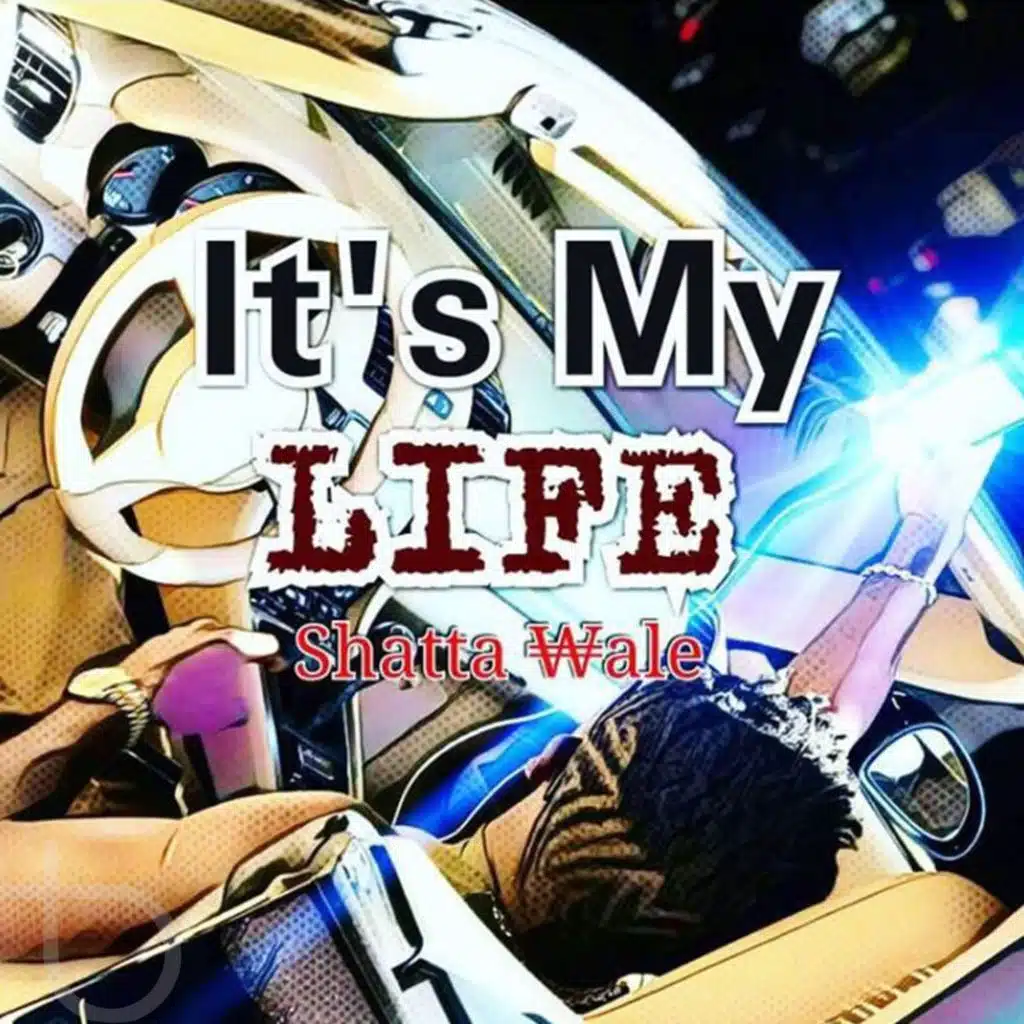It's My Life (feat. Sarkodie)
