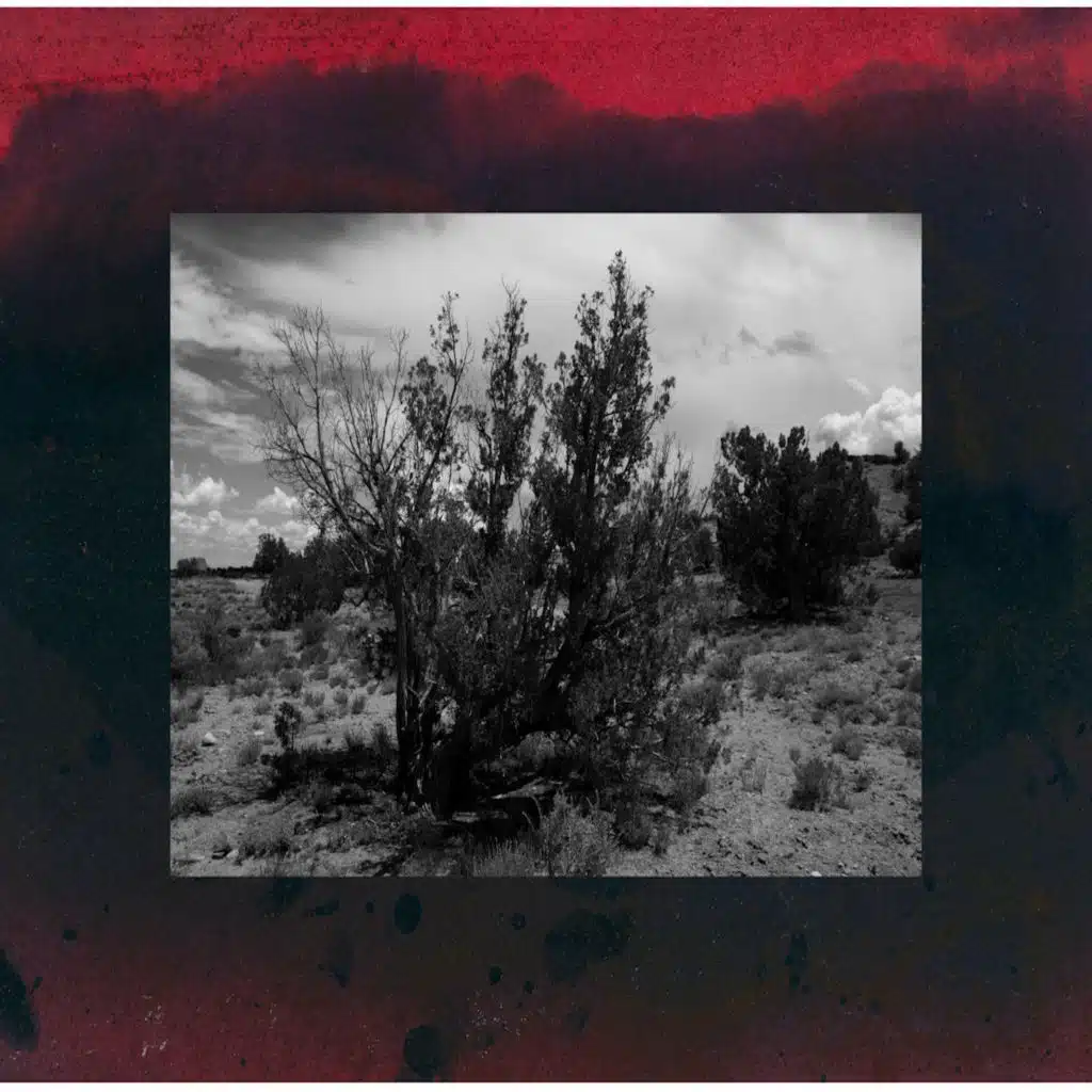 Dakota Mace, Gorky & Noguchi