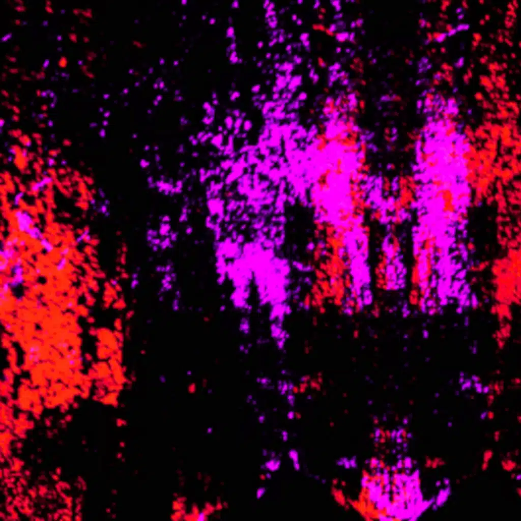 texts (lost words)