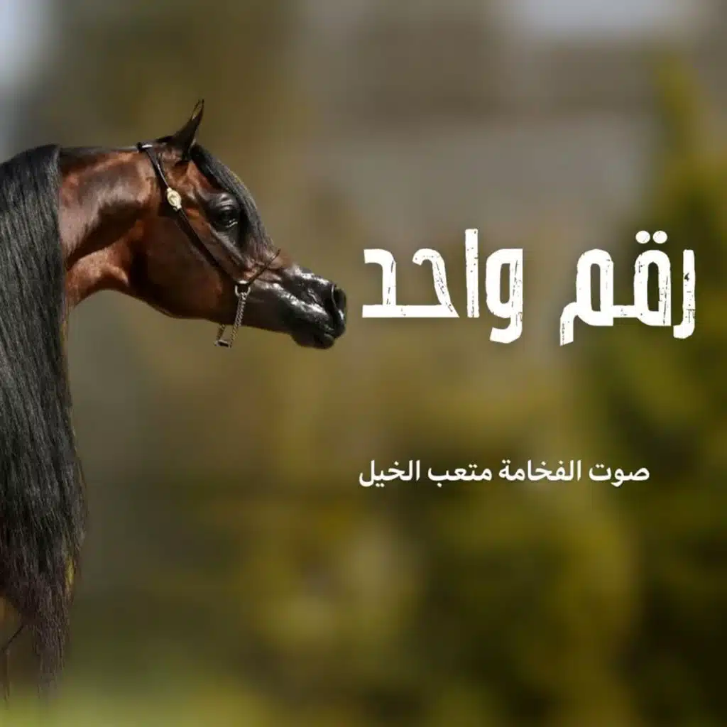 شيلة رقم واحد