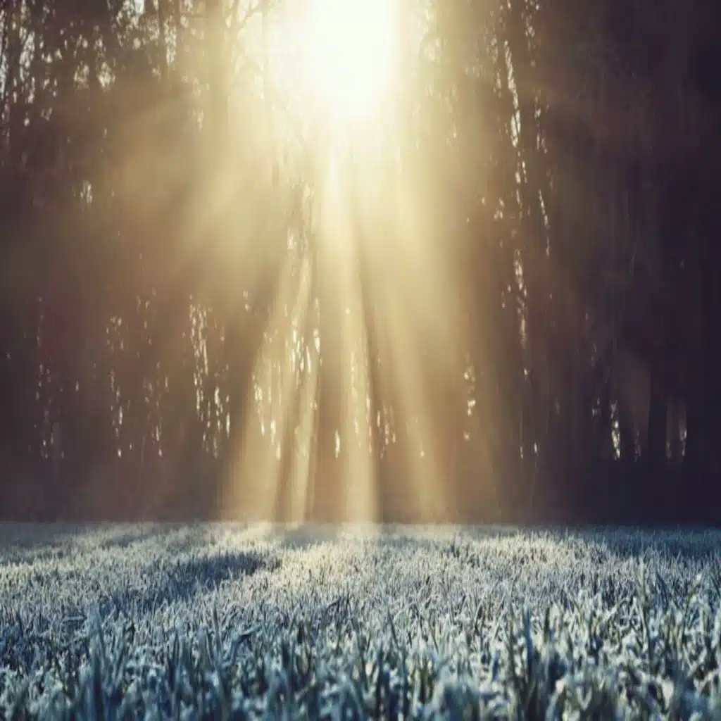 A Broken and Contrite Heart God Will Not Despise