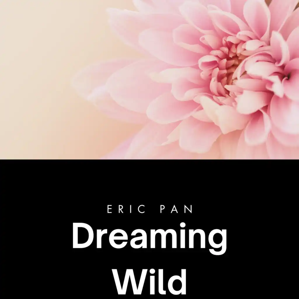 Eric Pan