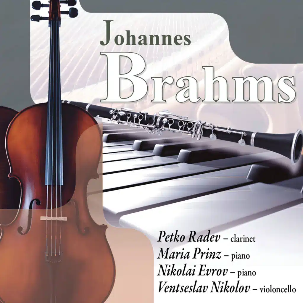 Clarinet Sonata No. 2 in E-Flat Major, Op. 120: I. Allegro amabile