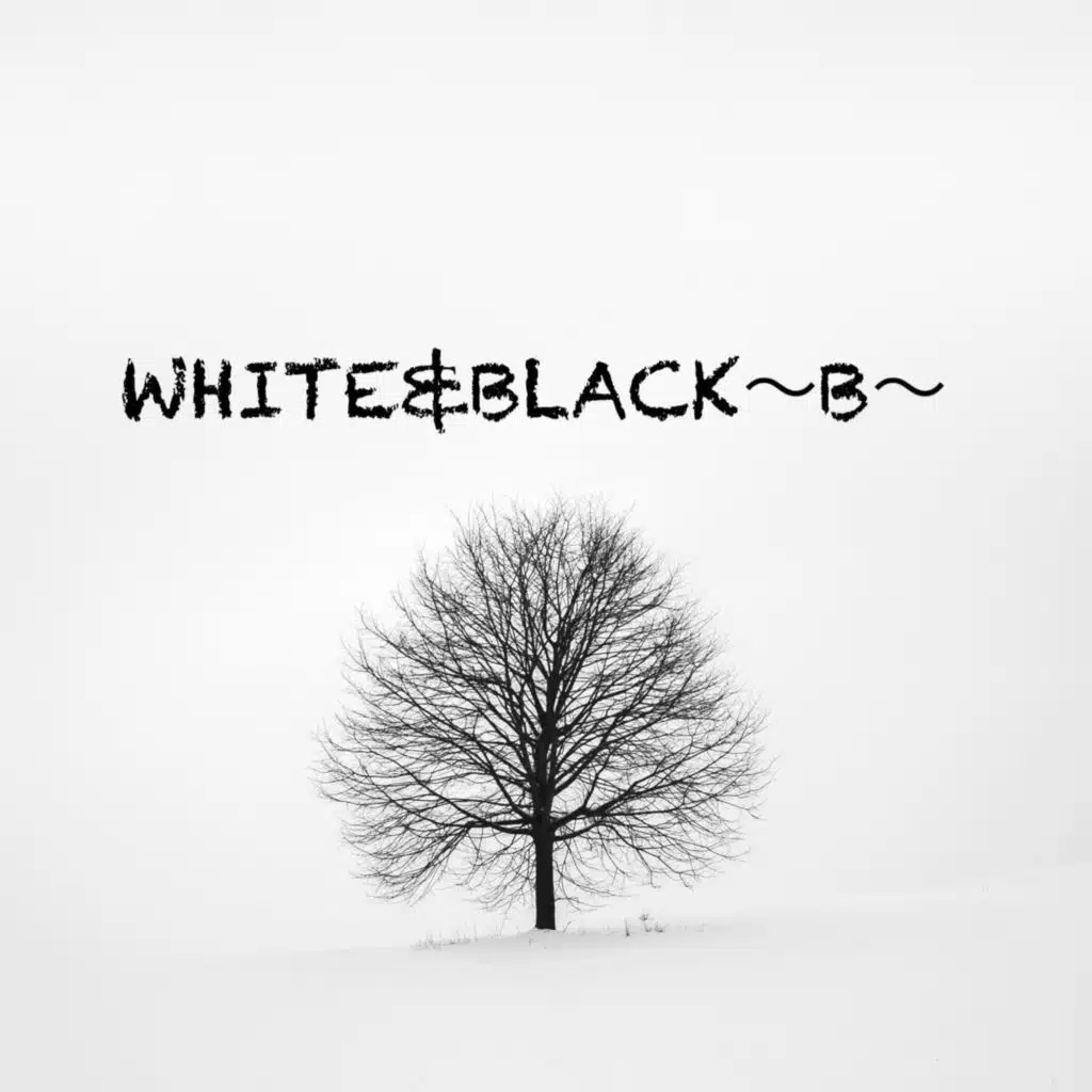 WHITE&BLACK〜B〜
