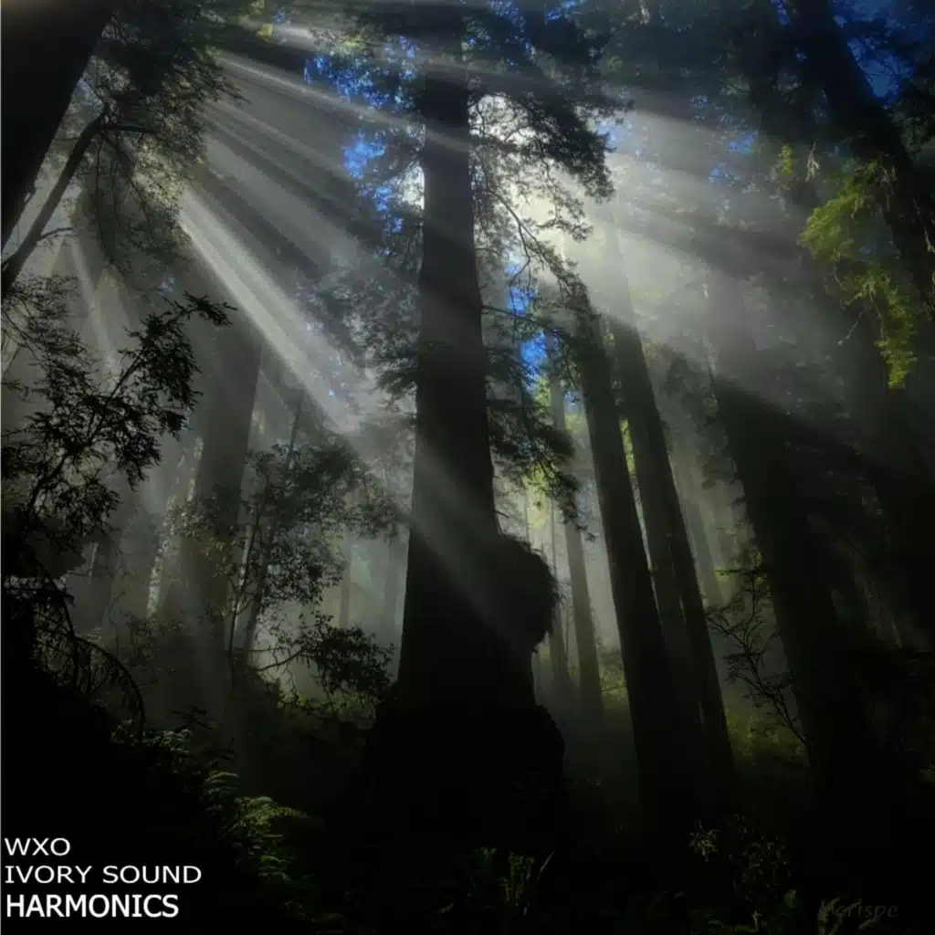 Harmonics (feat. wXo)