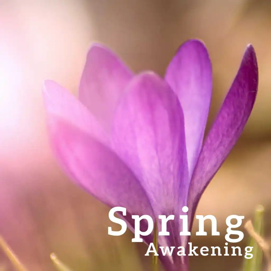 Spring Awakening - Fresh Meditation, New Energy, Nature Music for Stress Relief