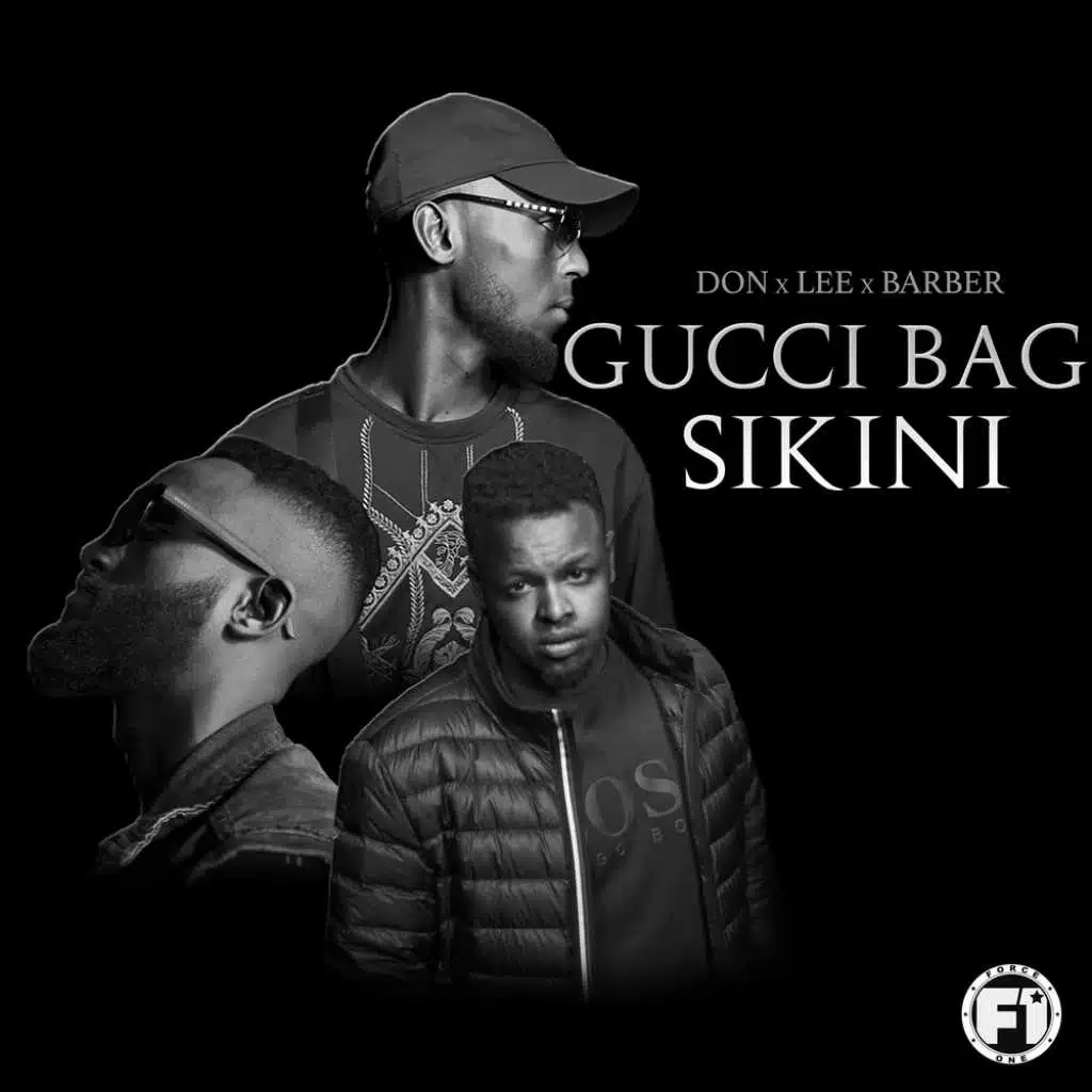 Gucci Bag Sikini