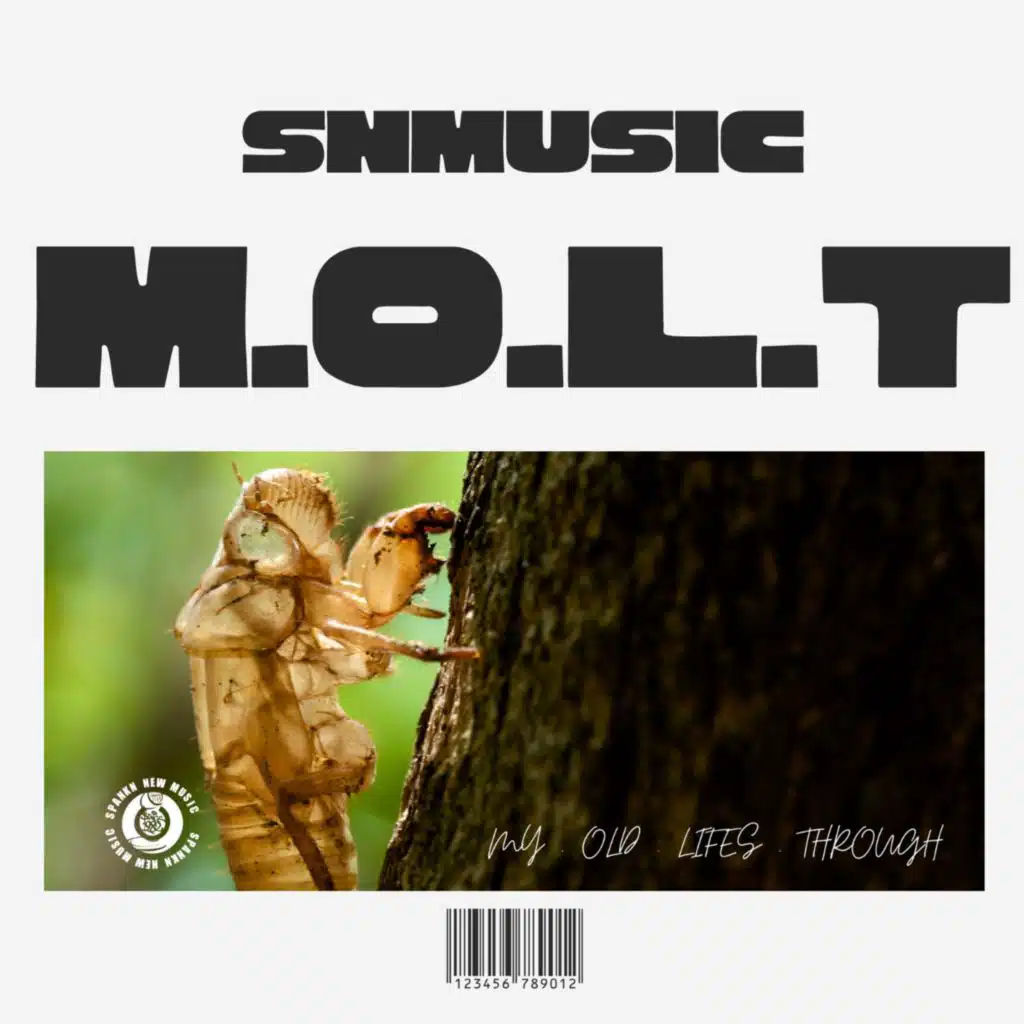 MOLT My Old Lifes Through