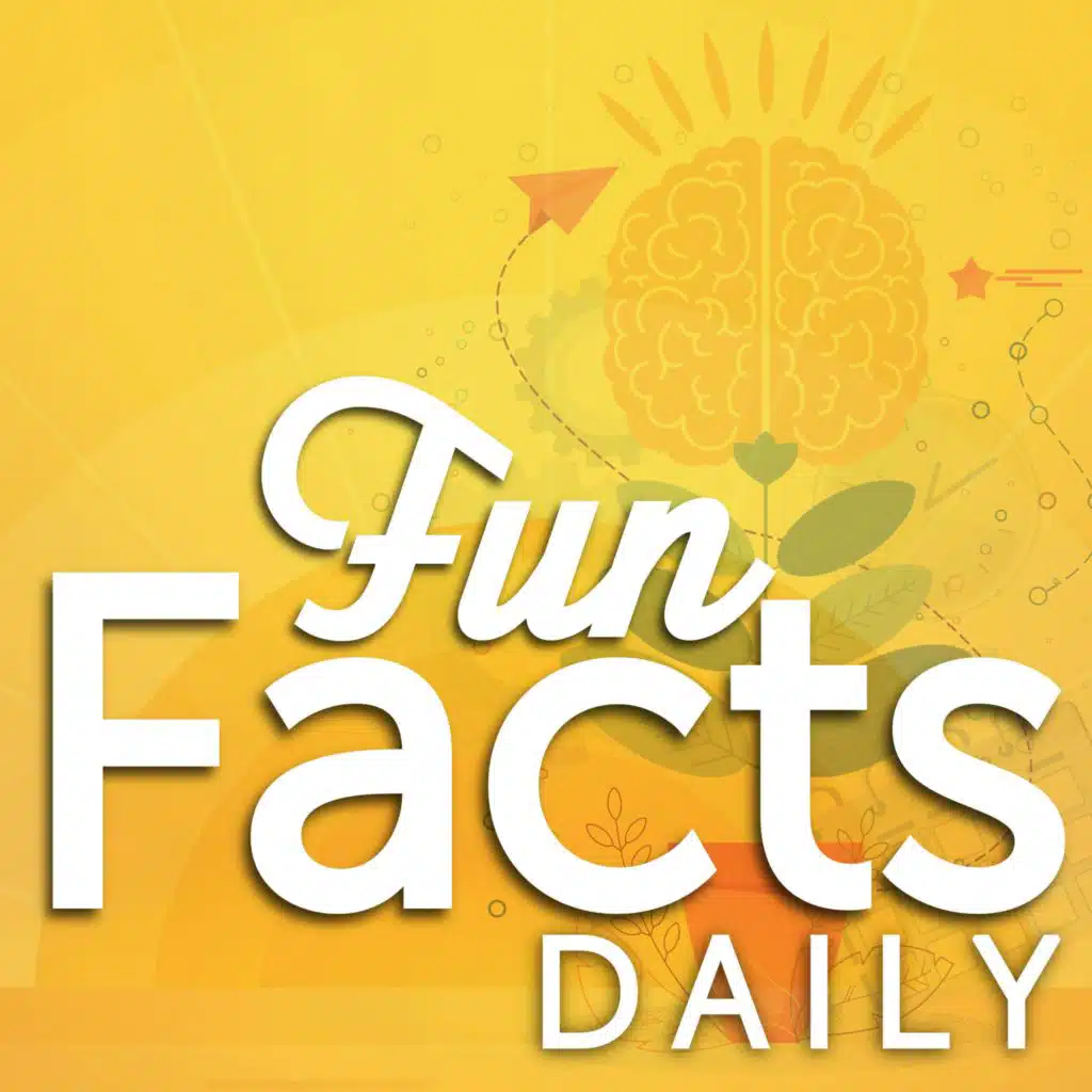 Introducing Fun Facts Daily