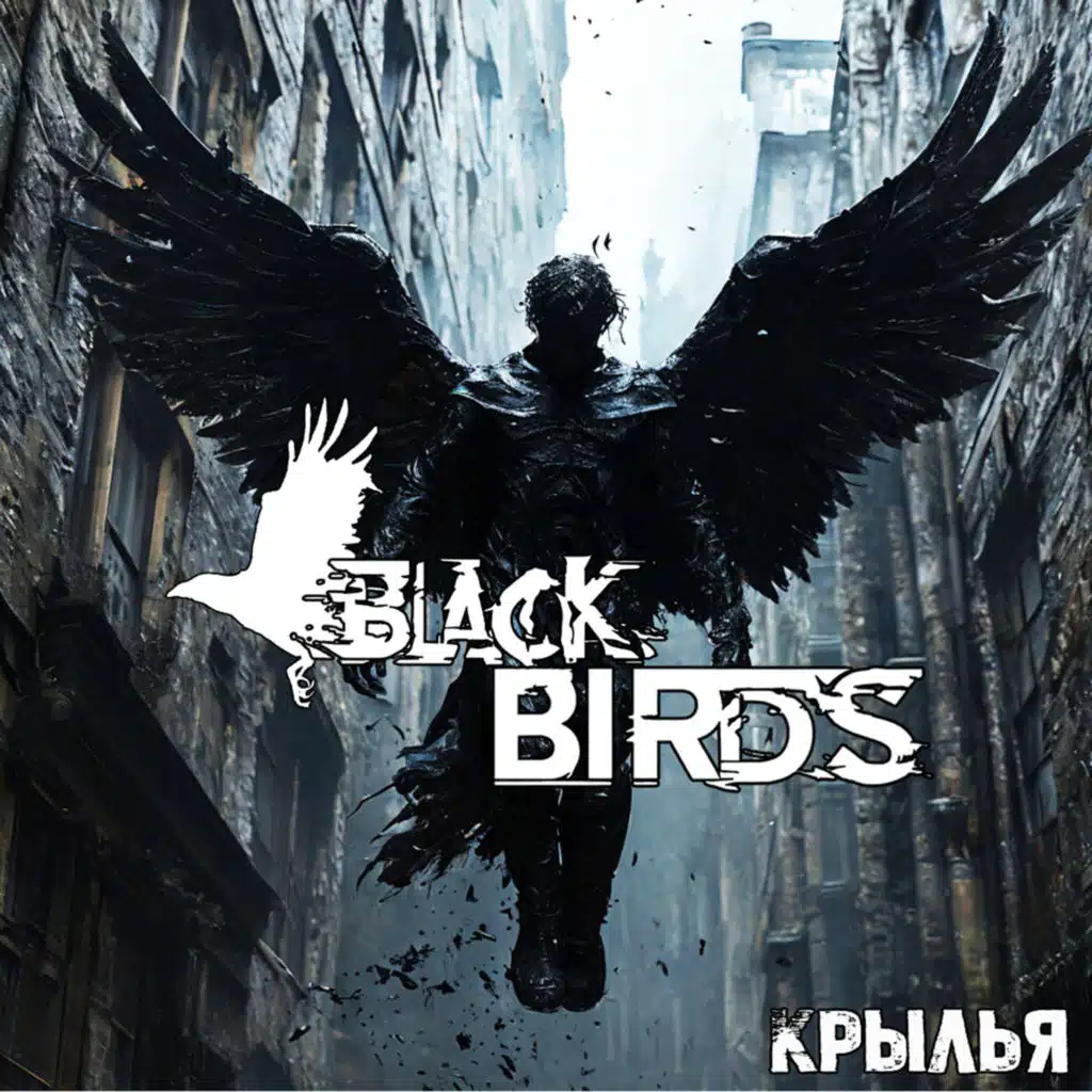 Black Birds