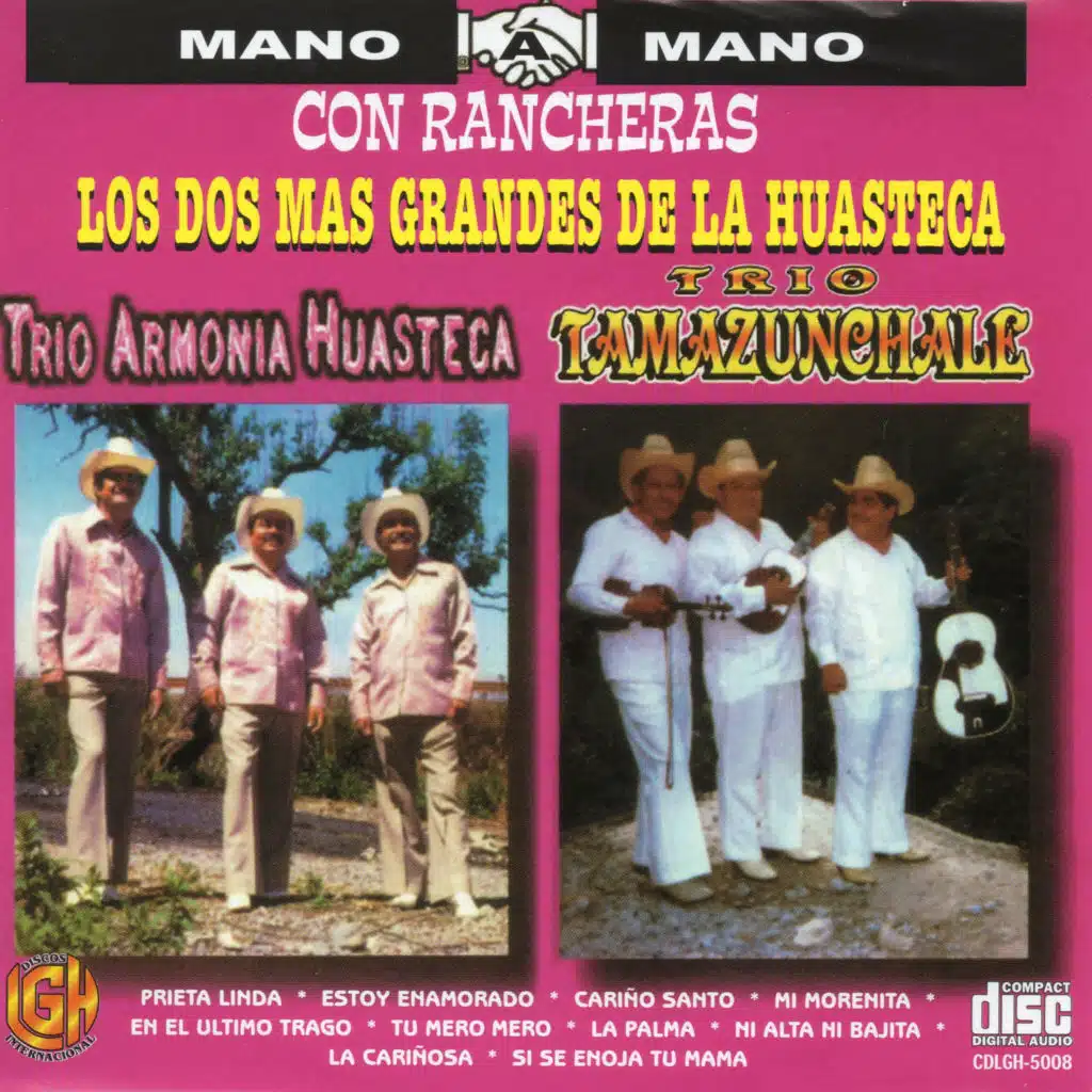 Trio Armonia Huasteca & Trio Tamazunchale
