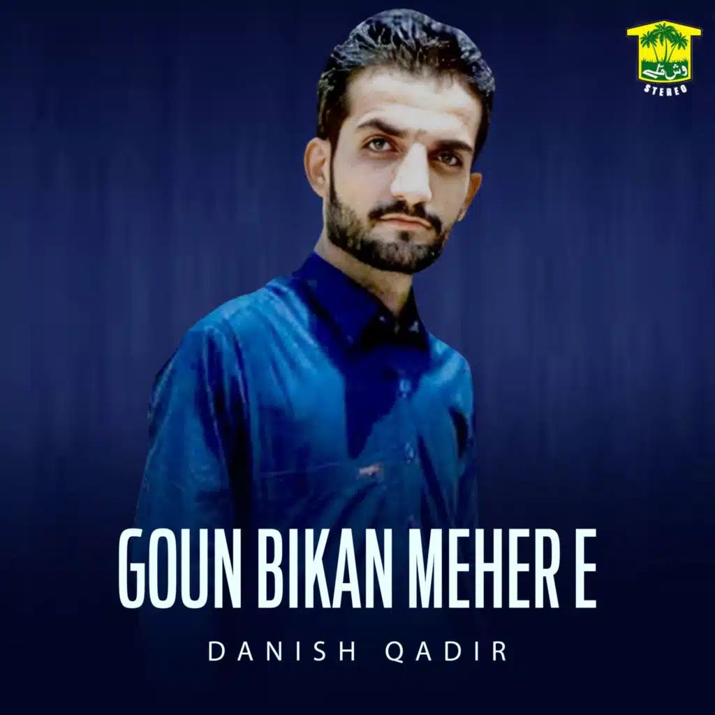 Danish Qadir