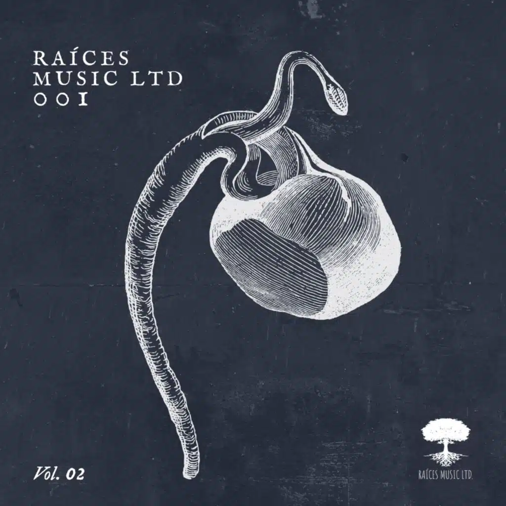 Raices Music LTD. 001, Vol. 2