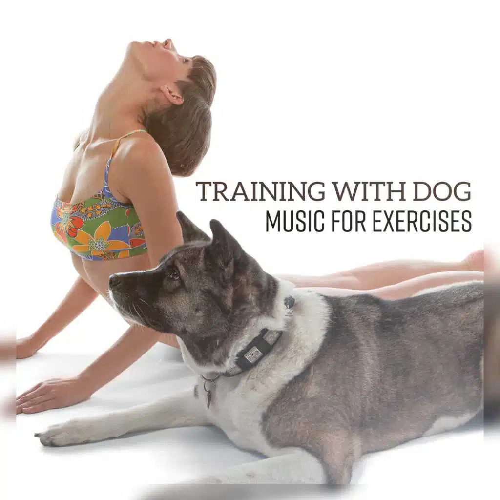 Gym for Dog