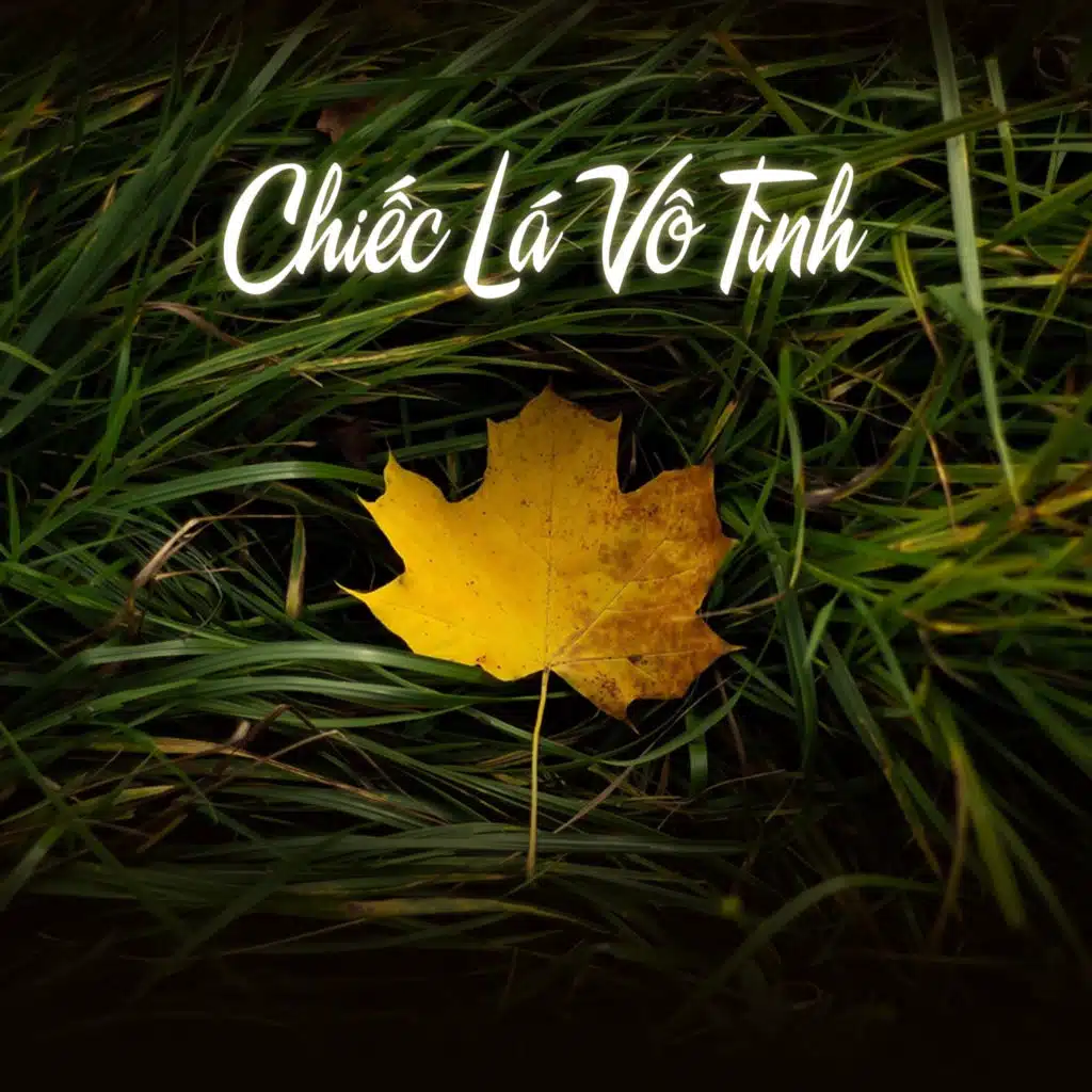 Chiếc Lá Vô Tình