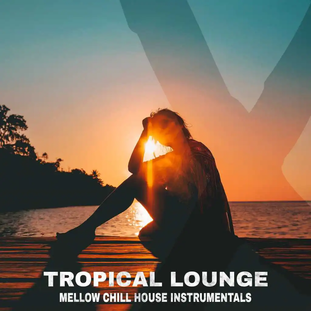 Tropical Lounge Mellow Chill House Instrumentals