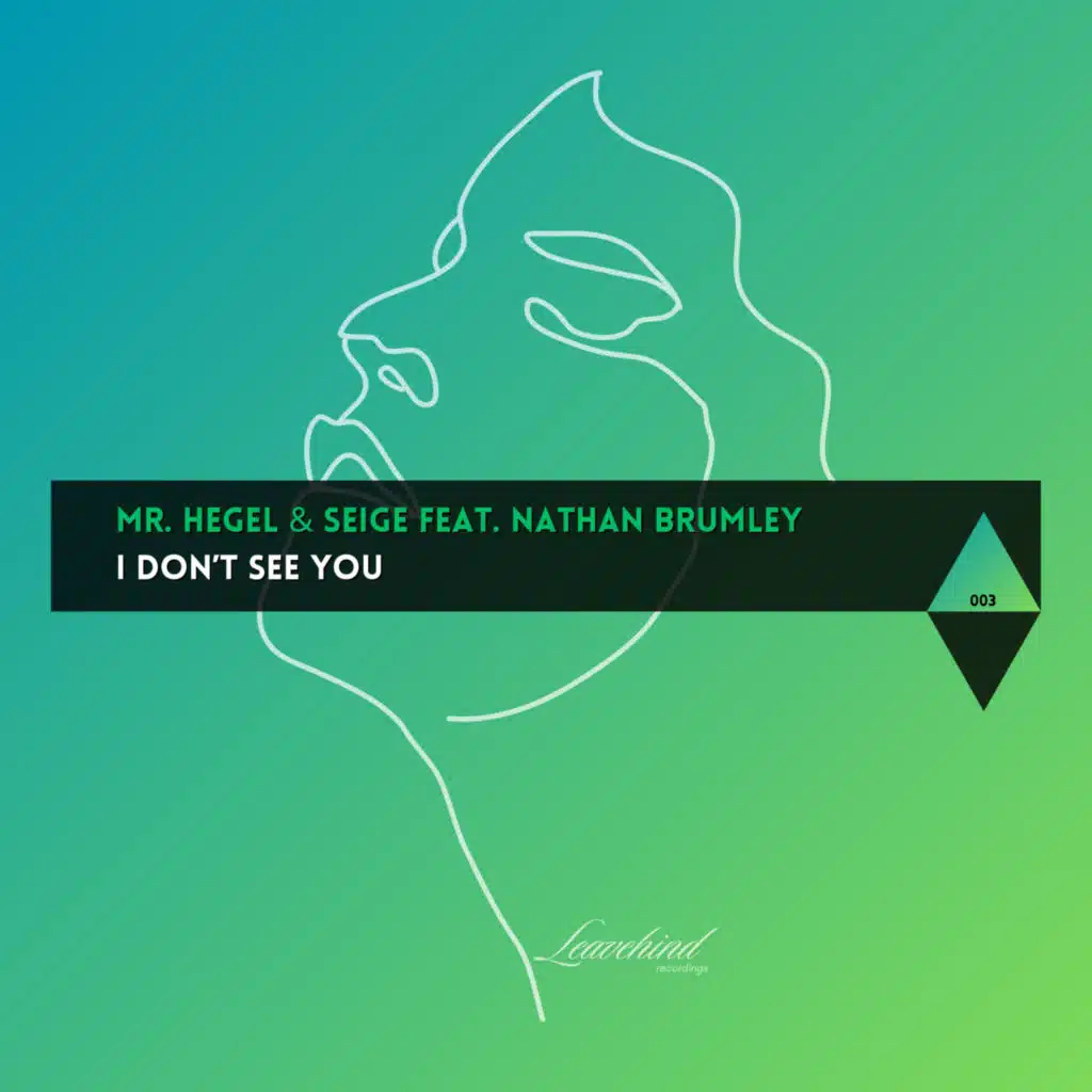 I Don't See You (feat. Nathan Brumley)