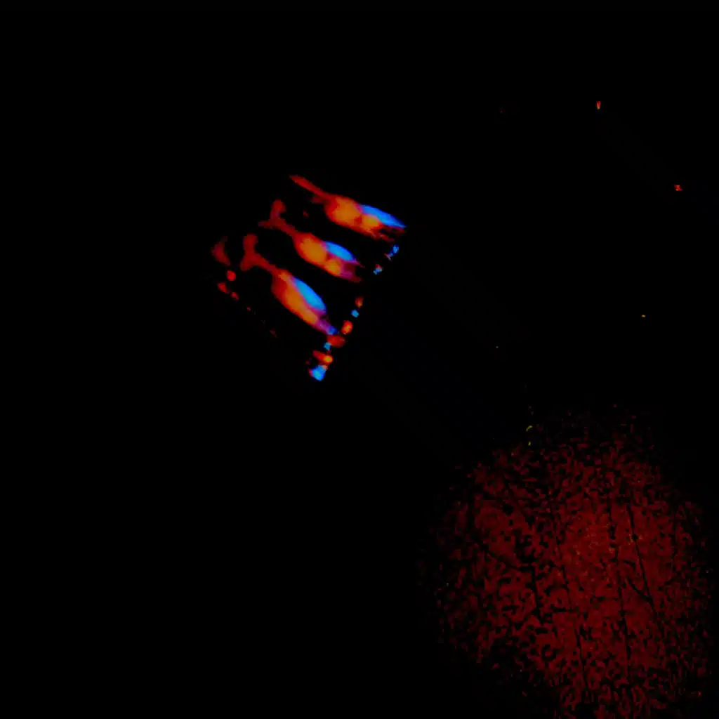 هل دي كانت حياتك