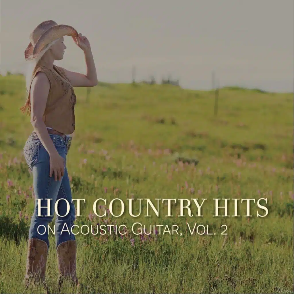 Hot Country Hits on Acoustic Guitar, Vol. 2