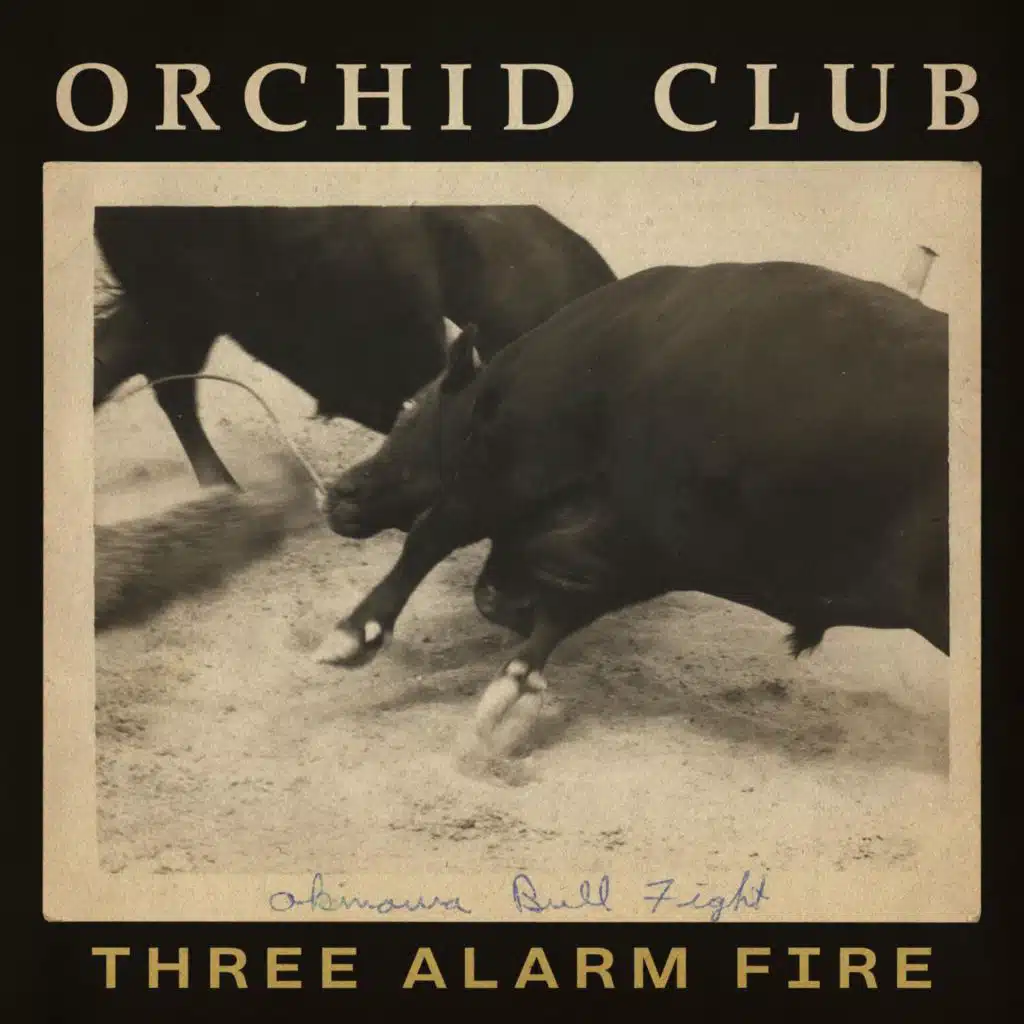 Orchid Club