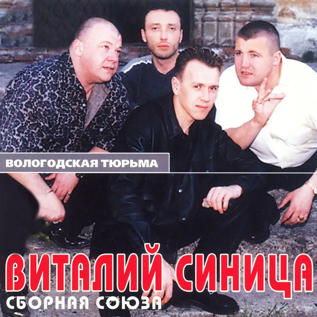 Виталий Синица, Сборная союза