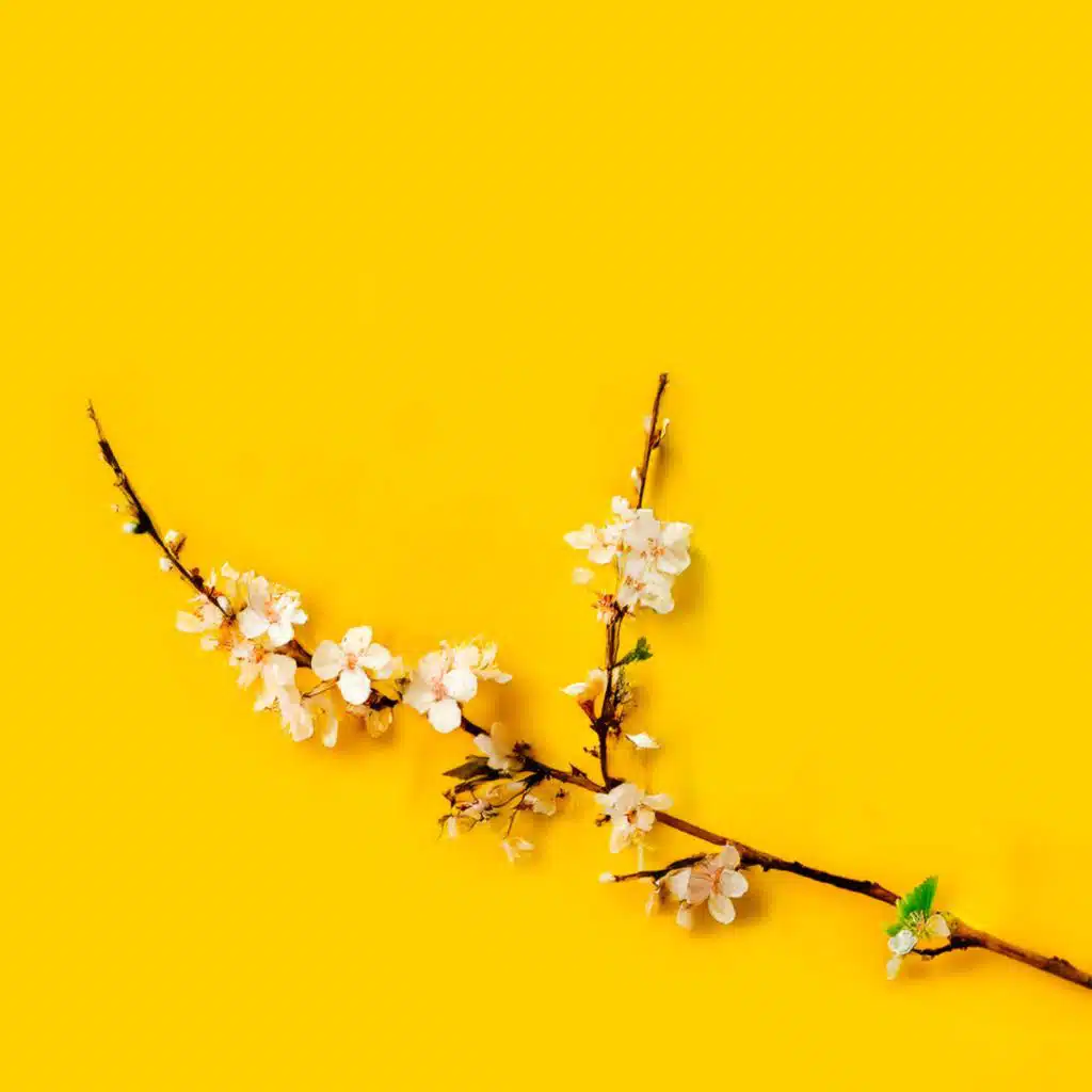 Giuseppe (Fortunino Francesco) Verdi & Georges Thill (Tenor)