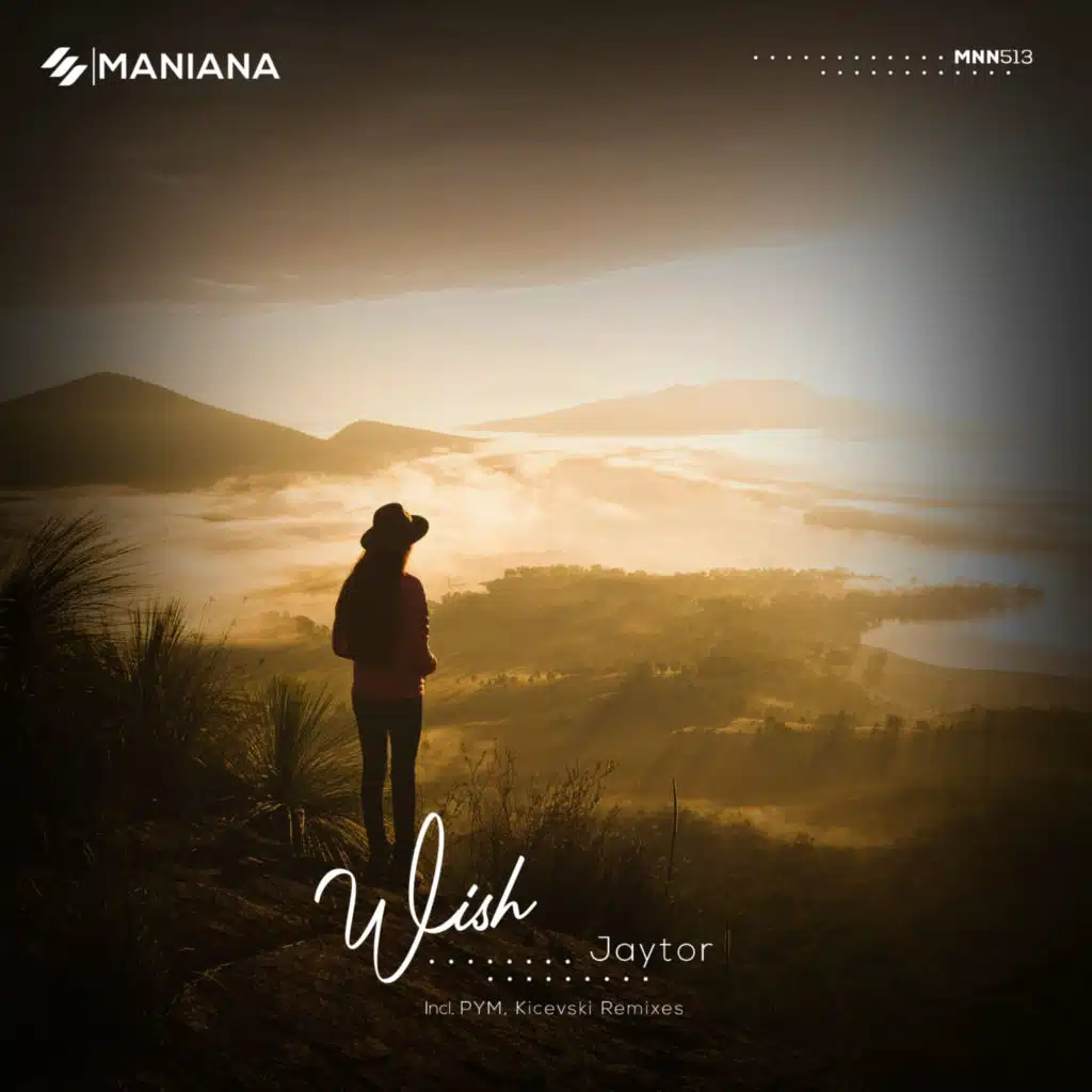 Wish (Kicevski Remix)