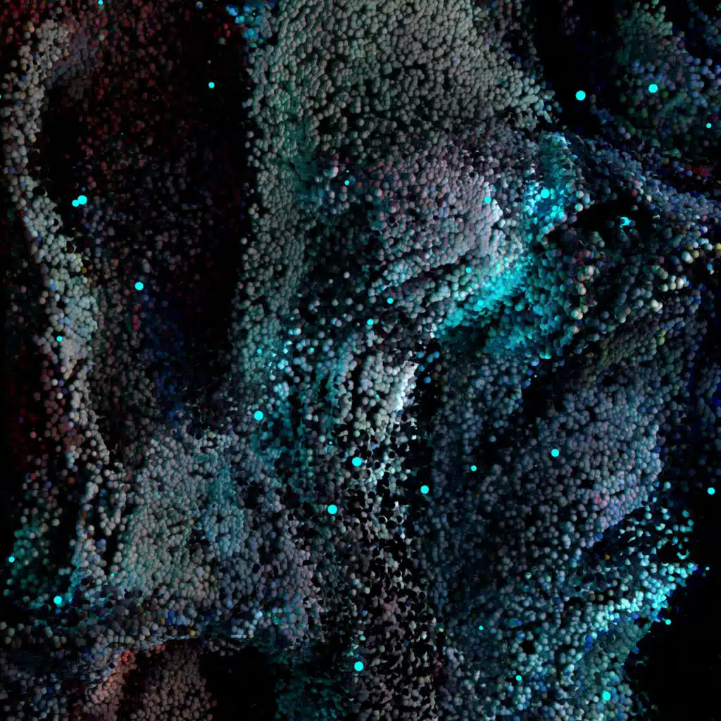 Samm (BE) & Ajna (BE)