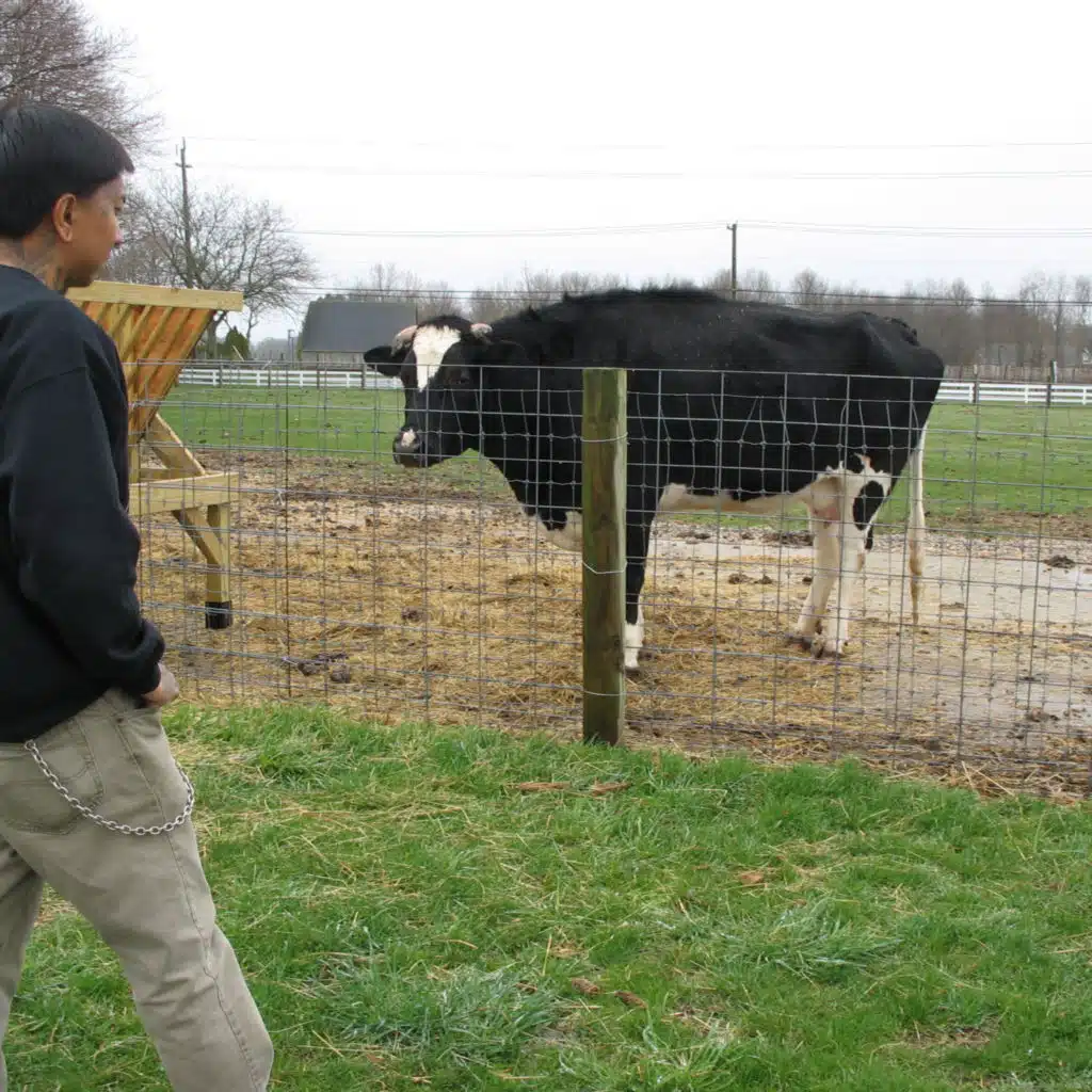 Get Dressed (Acoustic)