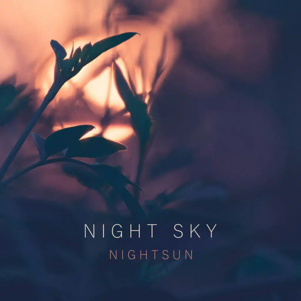Night Sky