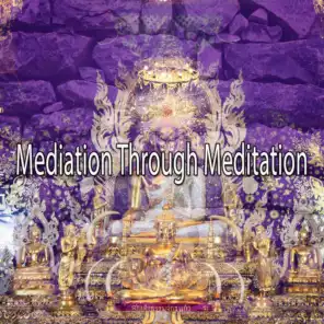 Mediation Through Meditation