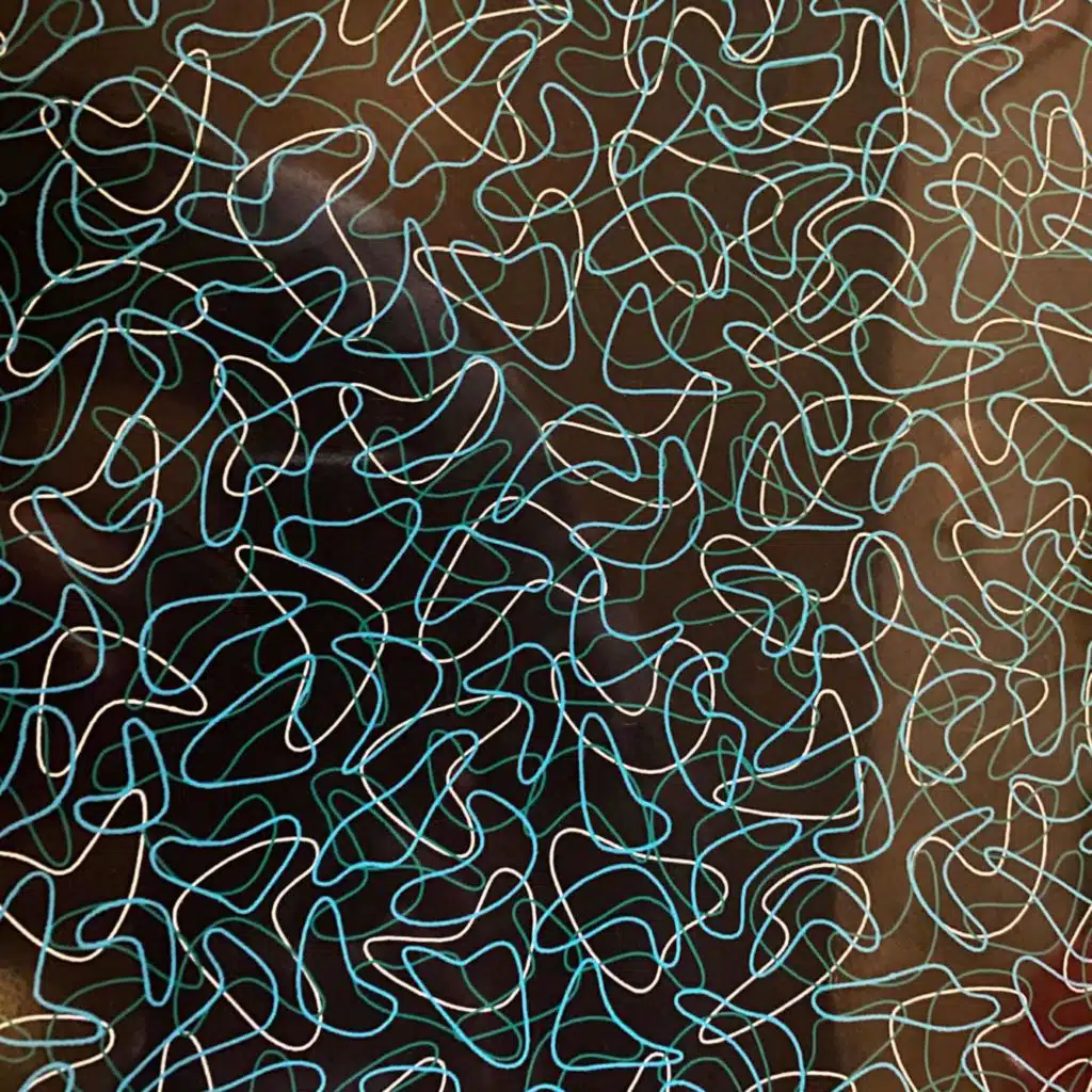 THE VVOLF (feat. Arden Cole)