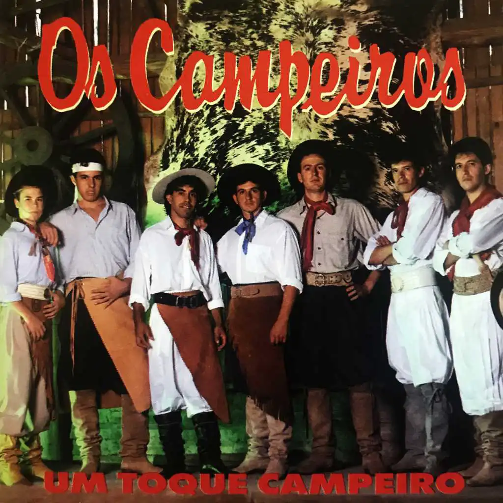 Um Toque Campeiro (feat. Luiz Cláudio)