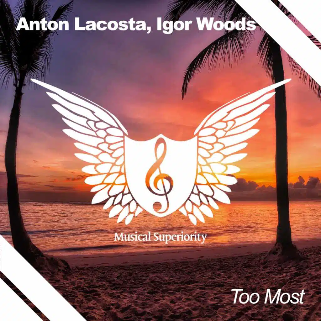 Too Most (feat. Igor Woods)