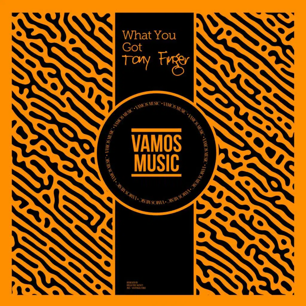 What You Got (Alternative Mix)