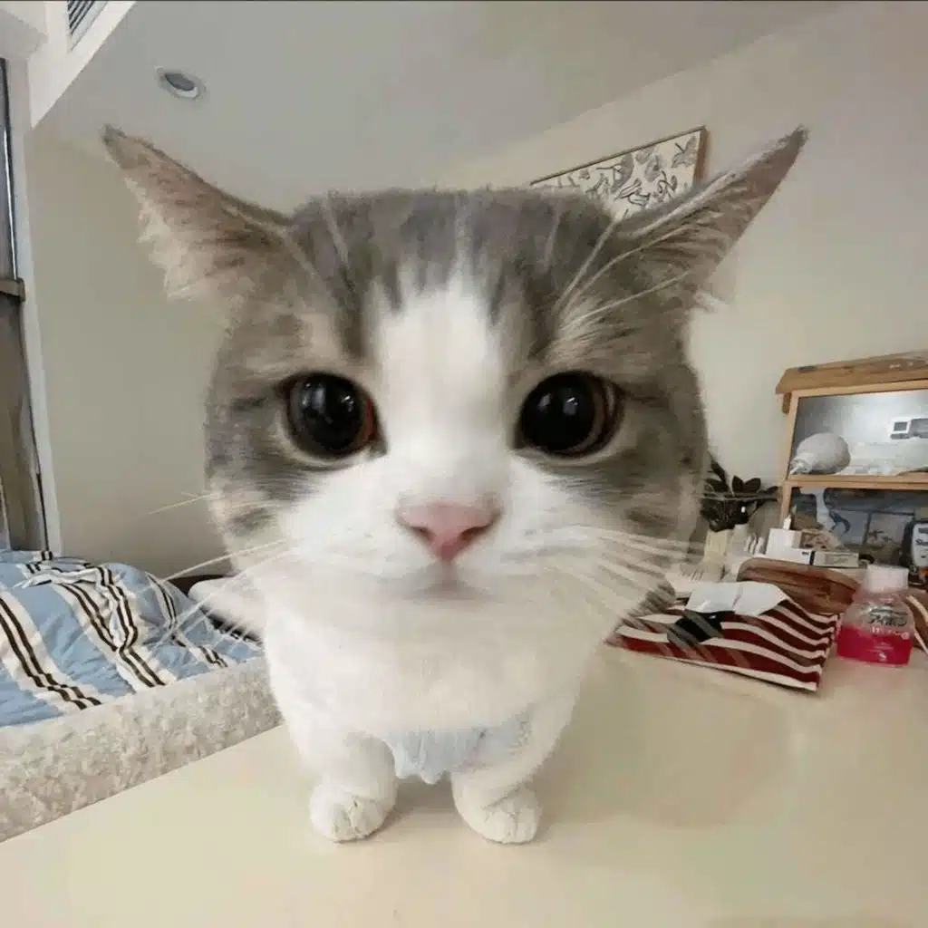 Four Rules (feat. The Game. Snoop Dogg & Juicy J)