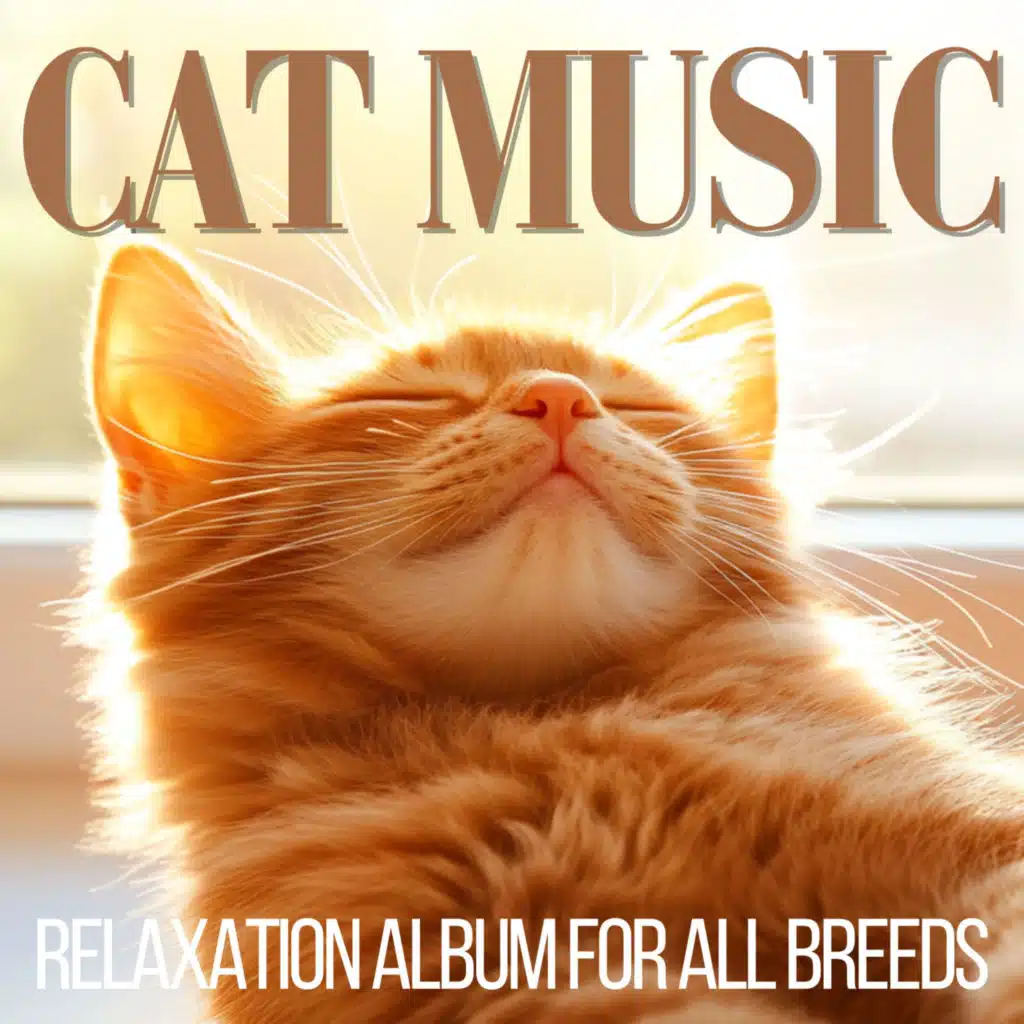 Cat Sleep Aid Music for Nighttime Rest