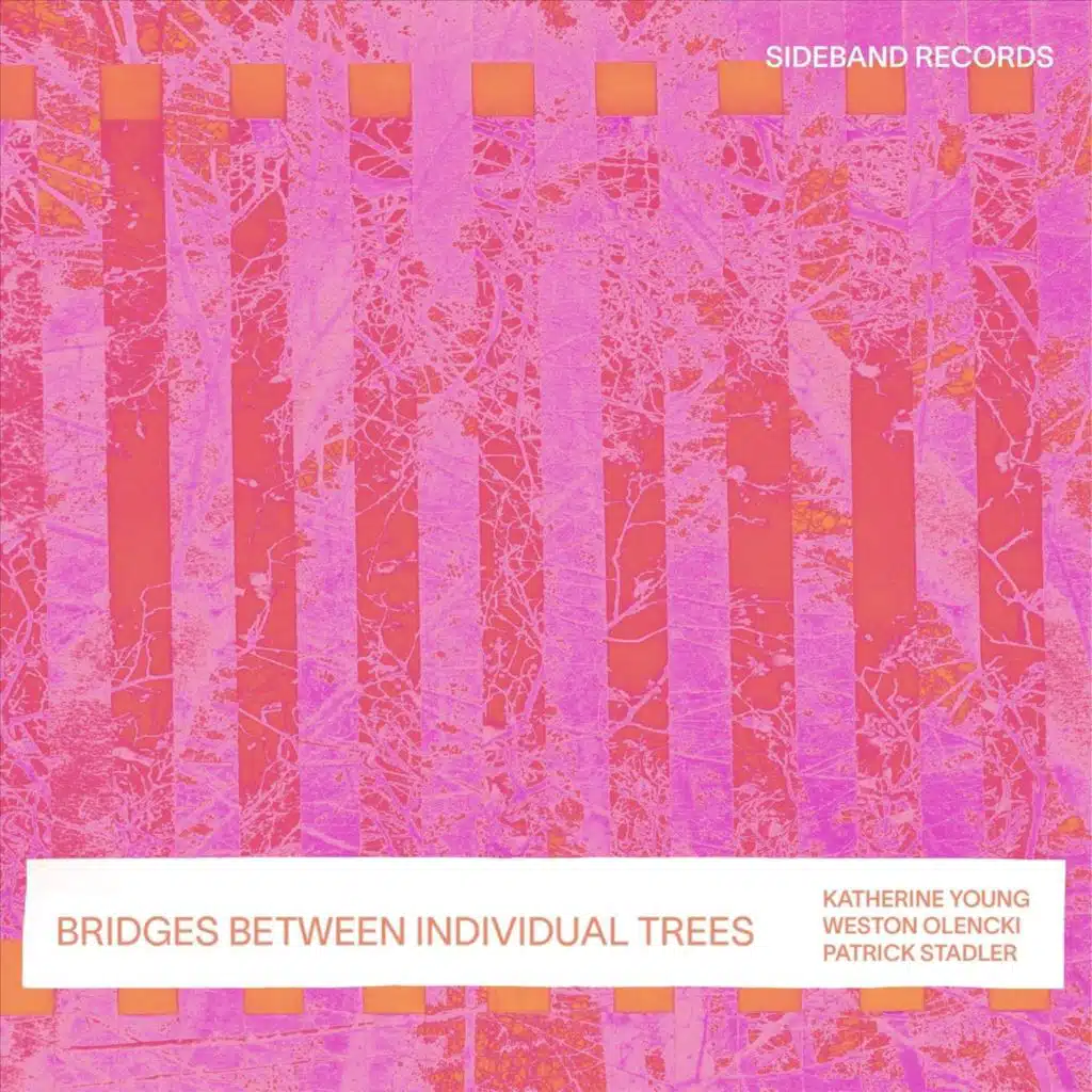 Bridges Between Individual Trees