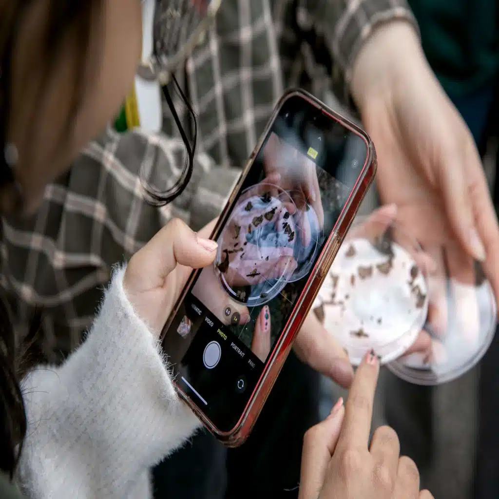 A hunt for urban wildlife around Boston and cities worldwide