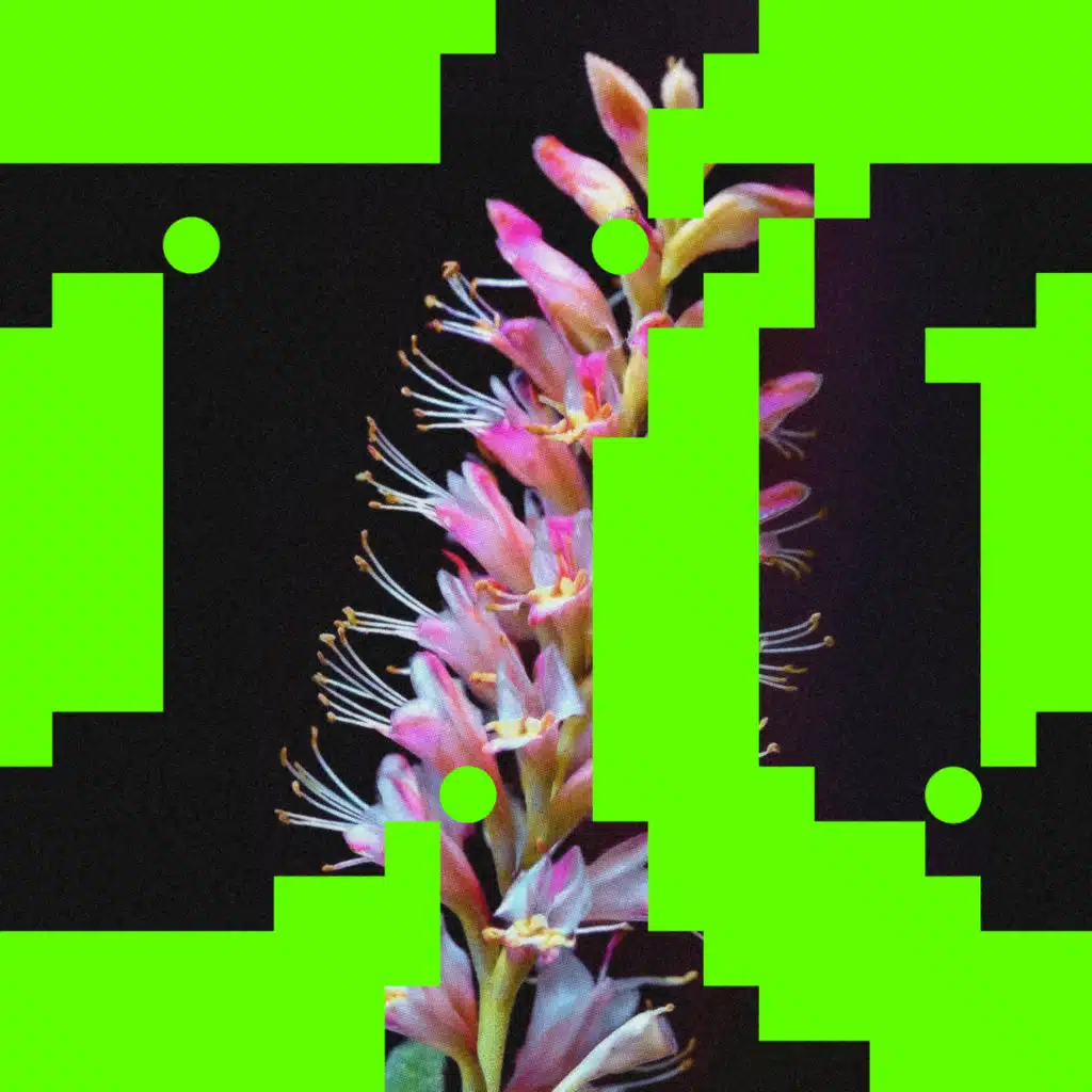 Better O'be New (feat. Rromarin)