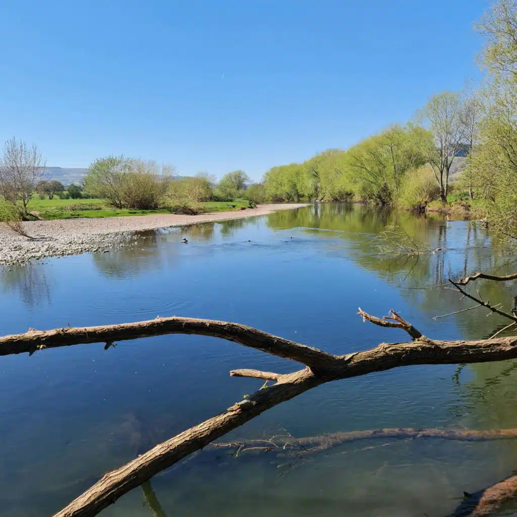 Sound Escape 219. A sandpiper serenade on the River Usk